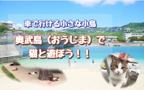 奥武島といえば天ぷら 猫 沖縄の猫島で癒し旅 ゆったり旅行ブログ