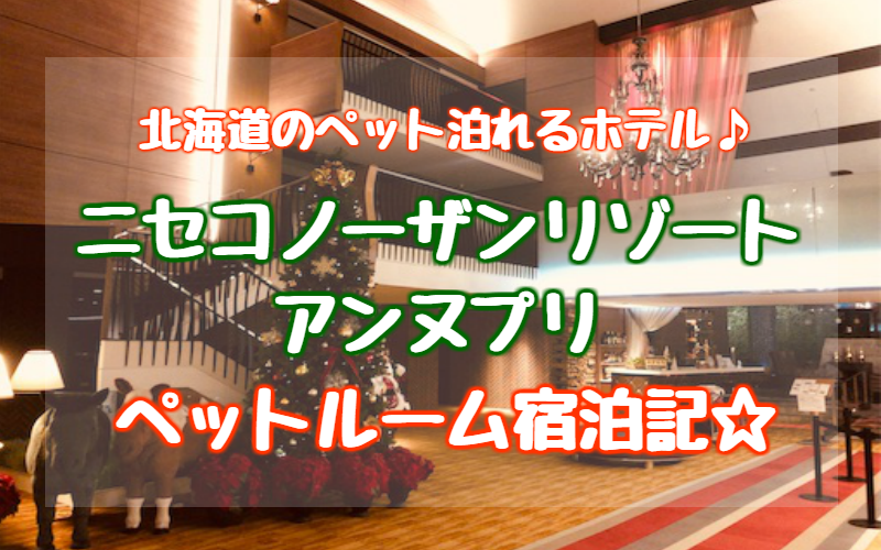 ニセコノーザンリゾートアンヌプリ ペットルーム宿泊記ブログ 北海道のペットと泊まれるホテル ゆったり旅行ブログ