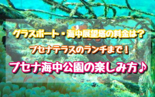 ブセナ海中公園の料金は グラスボートや海中展望塔 ランチもご紹介