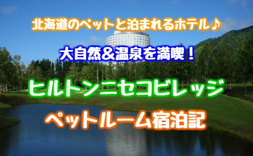 ペットと泊まれる宿 北海道 ヒルトンニセコビレッジ ペット同伴ブログ お部屋 レストラン ドッグラン ゆったり旅行ブログ